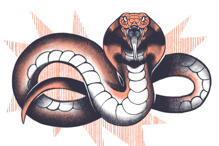 Year of the Snake